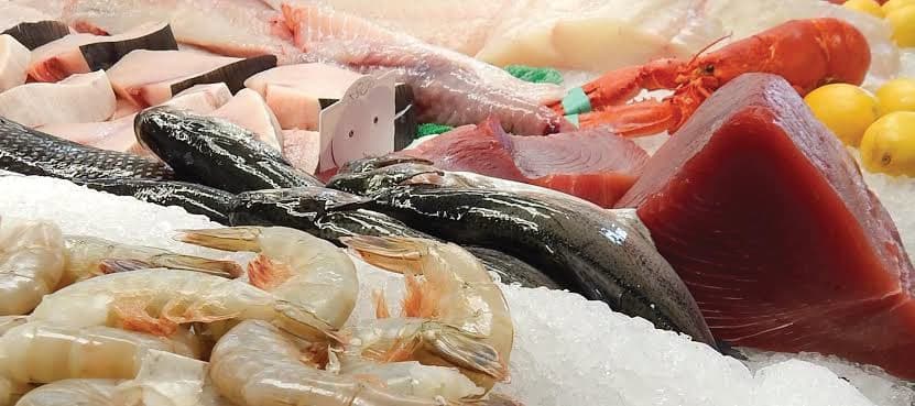 Sea Food - Premium protein from Kev Frontiers