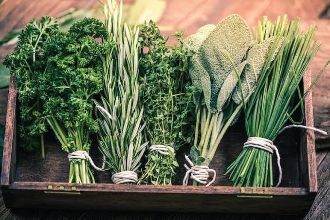 Fresh Herbs - Premium herbs from Kev Frontiers
